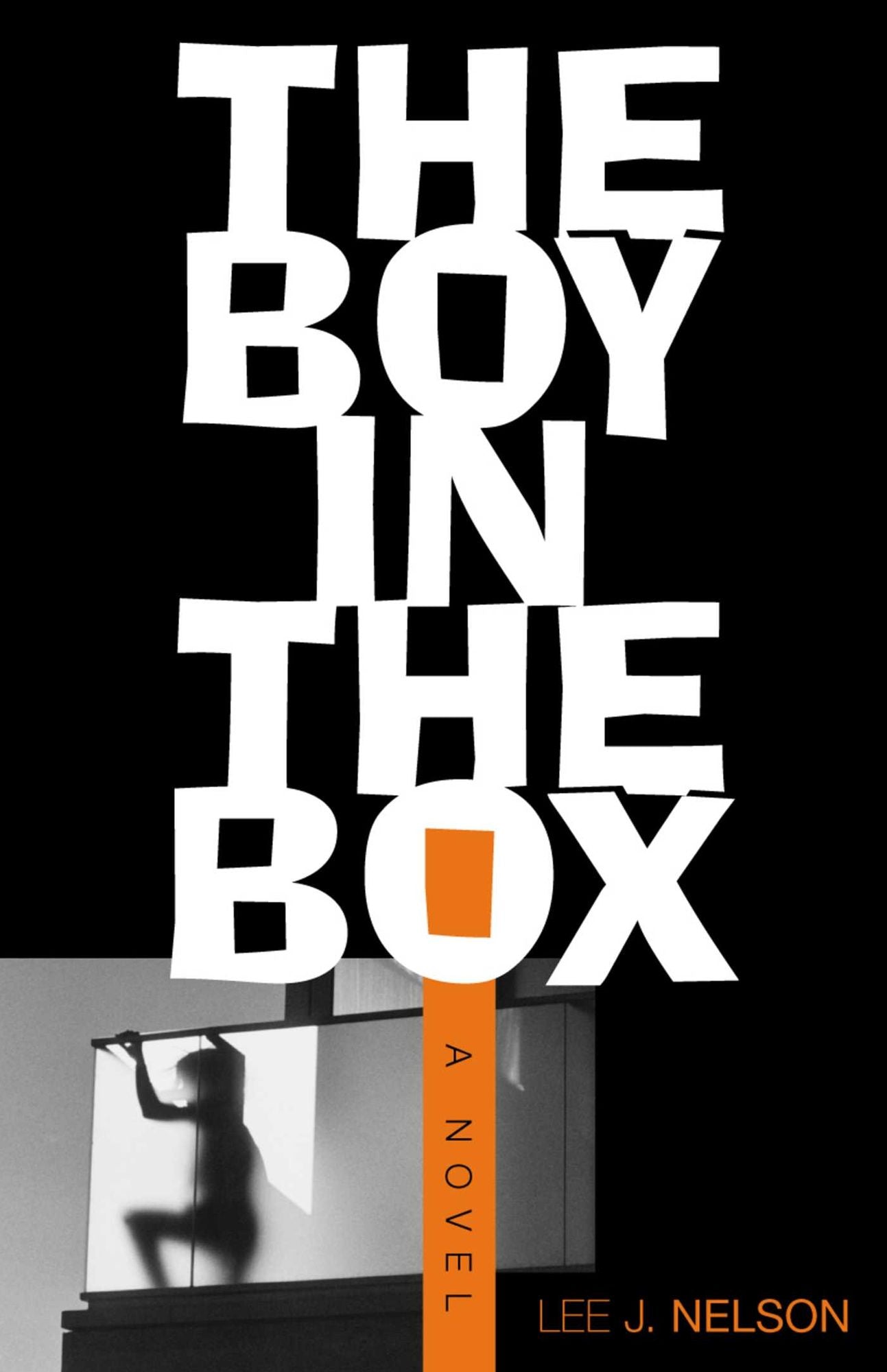 The Boy in the Box: A Novel