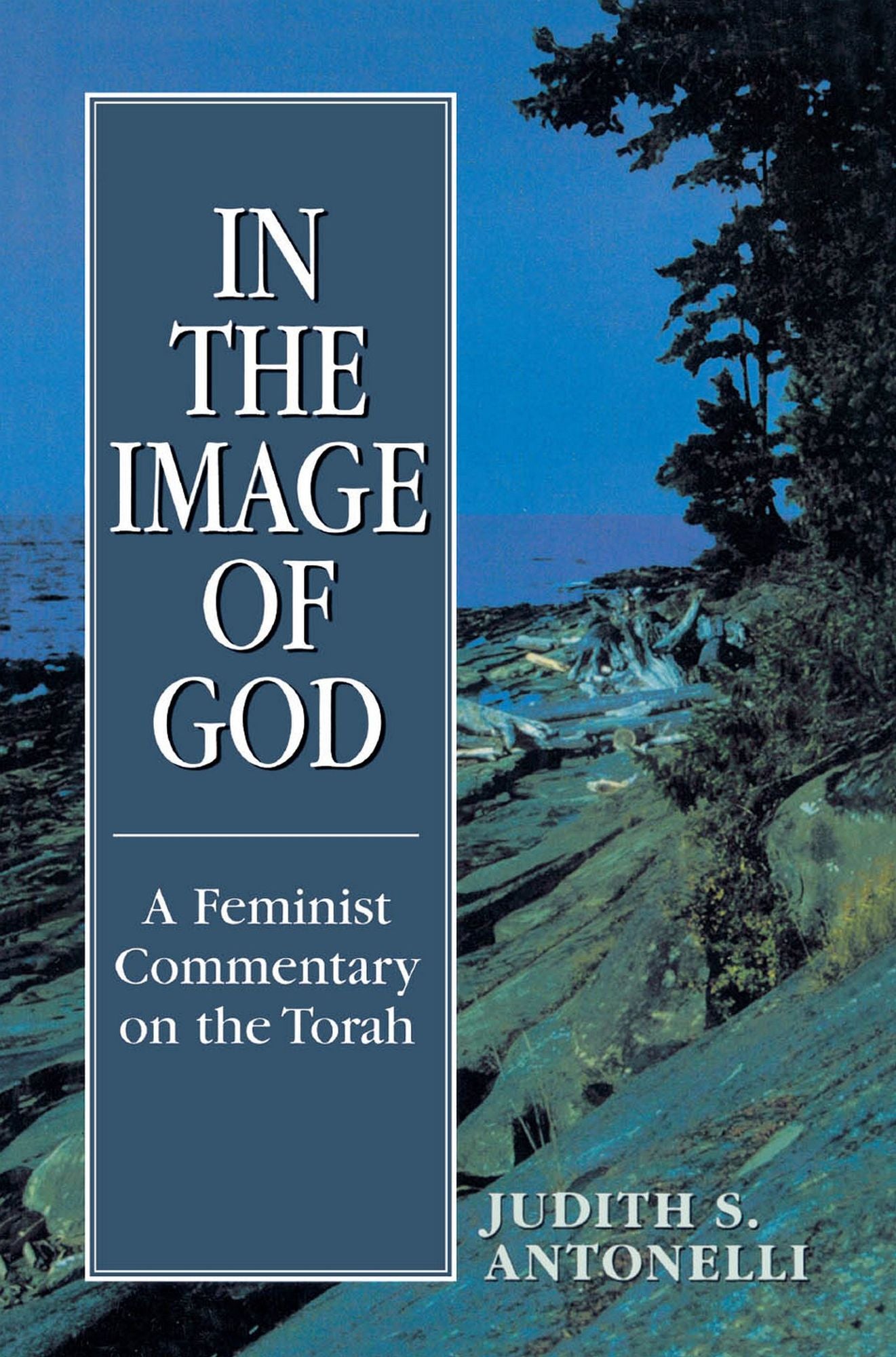 In the Image of God: A Feminist Commentary on the Torah