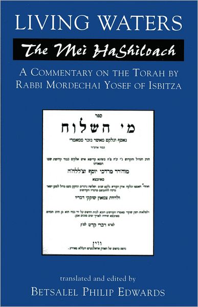 Living Waters: The Mei HaShiloach