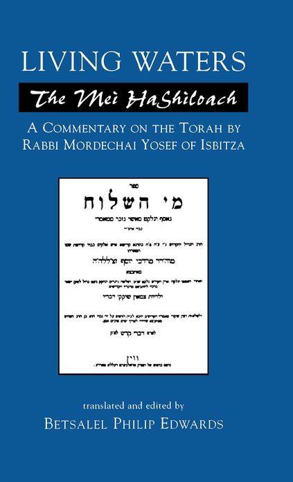 Living Waters: The Mei HaShiloach