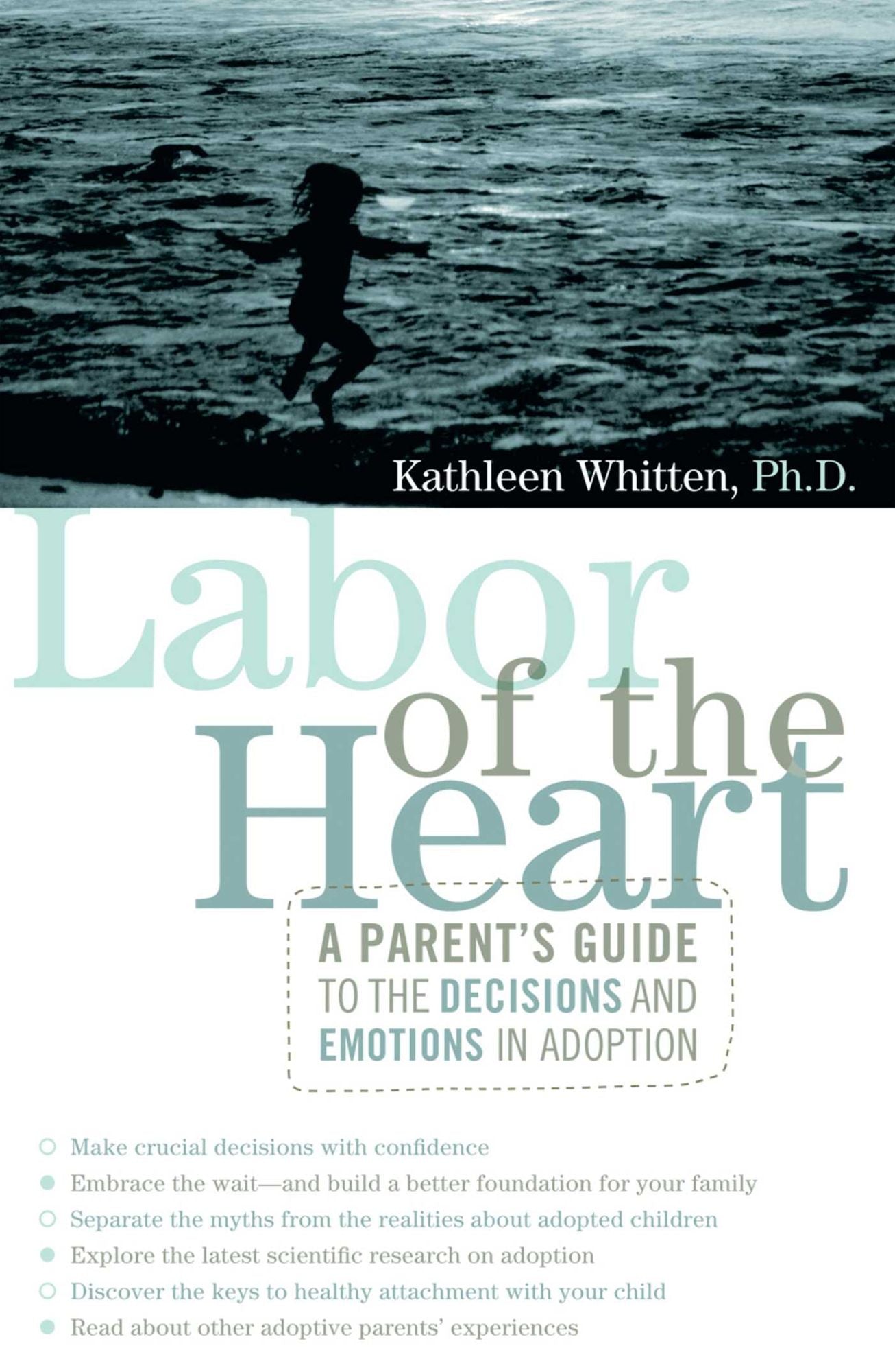 Labor of the Heart: A Parent's Guide to the Decisions and Emotions in Adoption