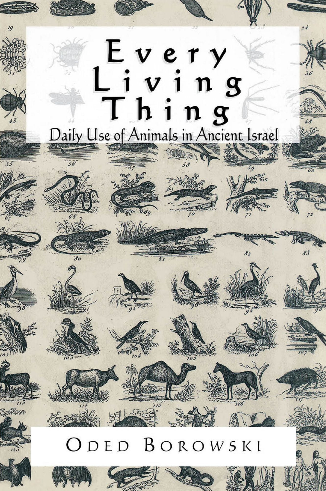 Every Living Thing: Daily Use of Animals in Ancient Israel