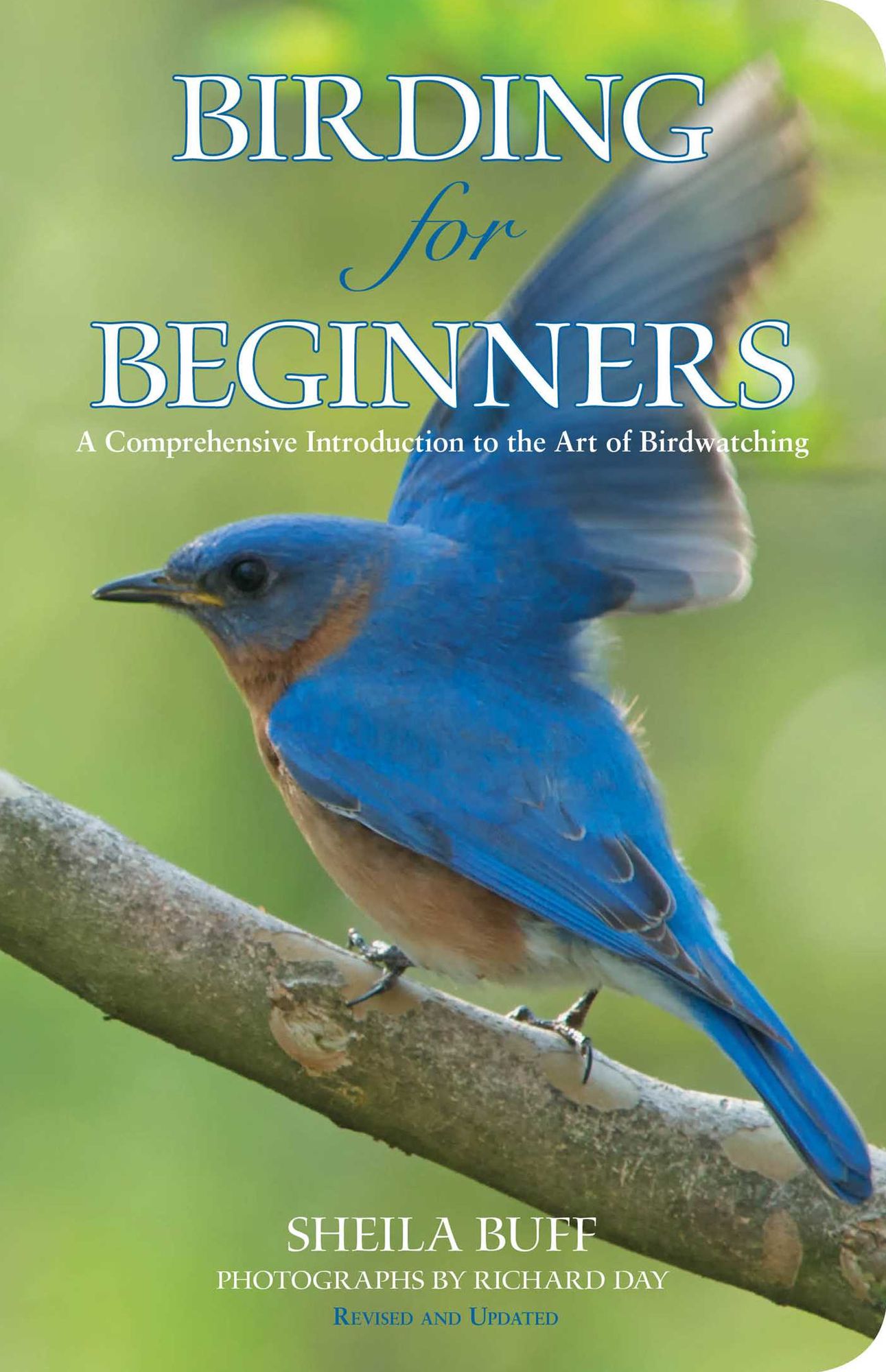 Birding for Beginners: A Comprehensive Introduction To The Art Of Birdwatching