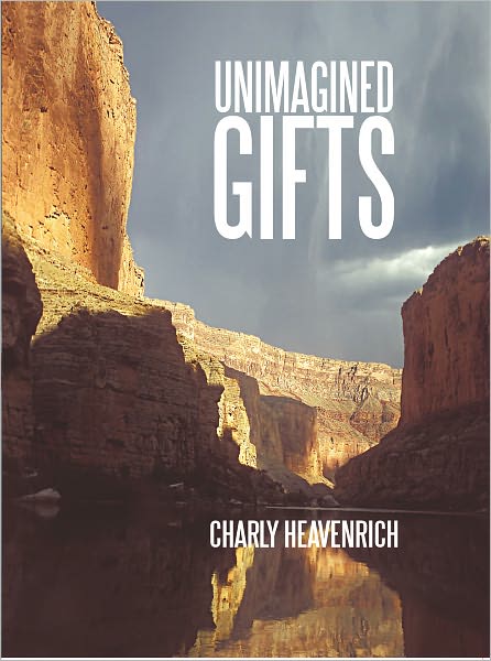Unimagined Gifts
