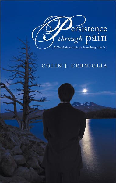 Persistence through Pain: A Novel about Life, or Something Like It