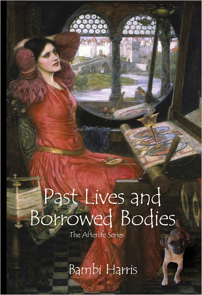 Past Lives and Borrowed Bodies: The Afterlife Series