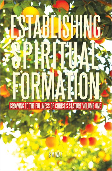 ESTABLISHING SPIRITUAL FORMATION: Growing to the fullness of Christ's stature Volume One