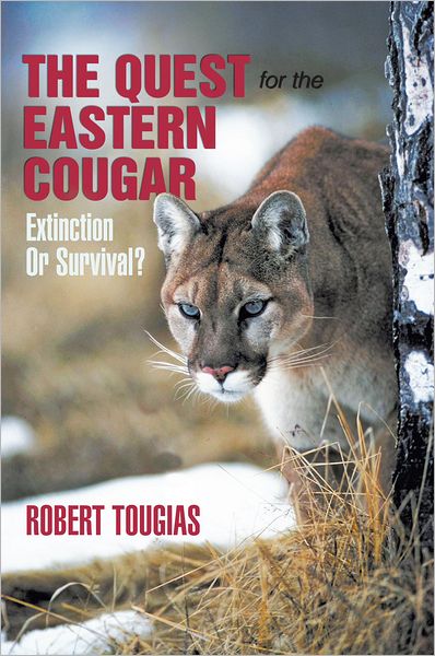 The Quest For The Eastern Cougar: Extinction Or Survival?