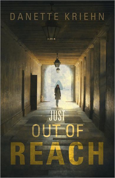 Just Out of Reach: A Novel