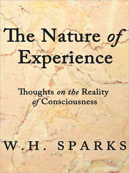The Nature of Experience: Thoughts on the Reality of Consciousness