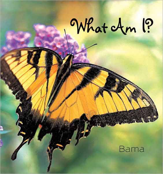 What Am I?
