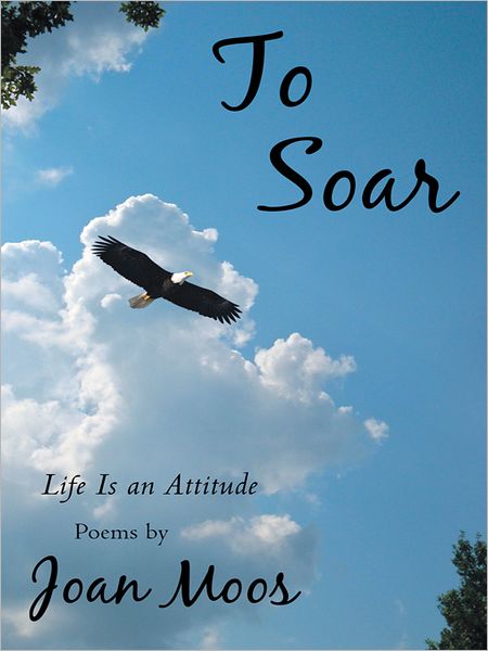 To Soar: Life Is an Attitude