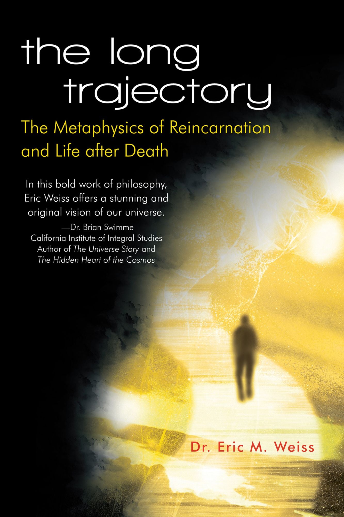 The Long Trajectory: The Metaphysics of Reincarnation and Life after Death