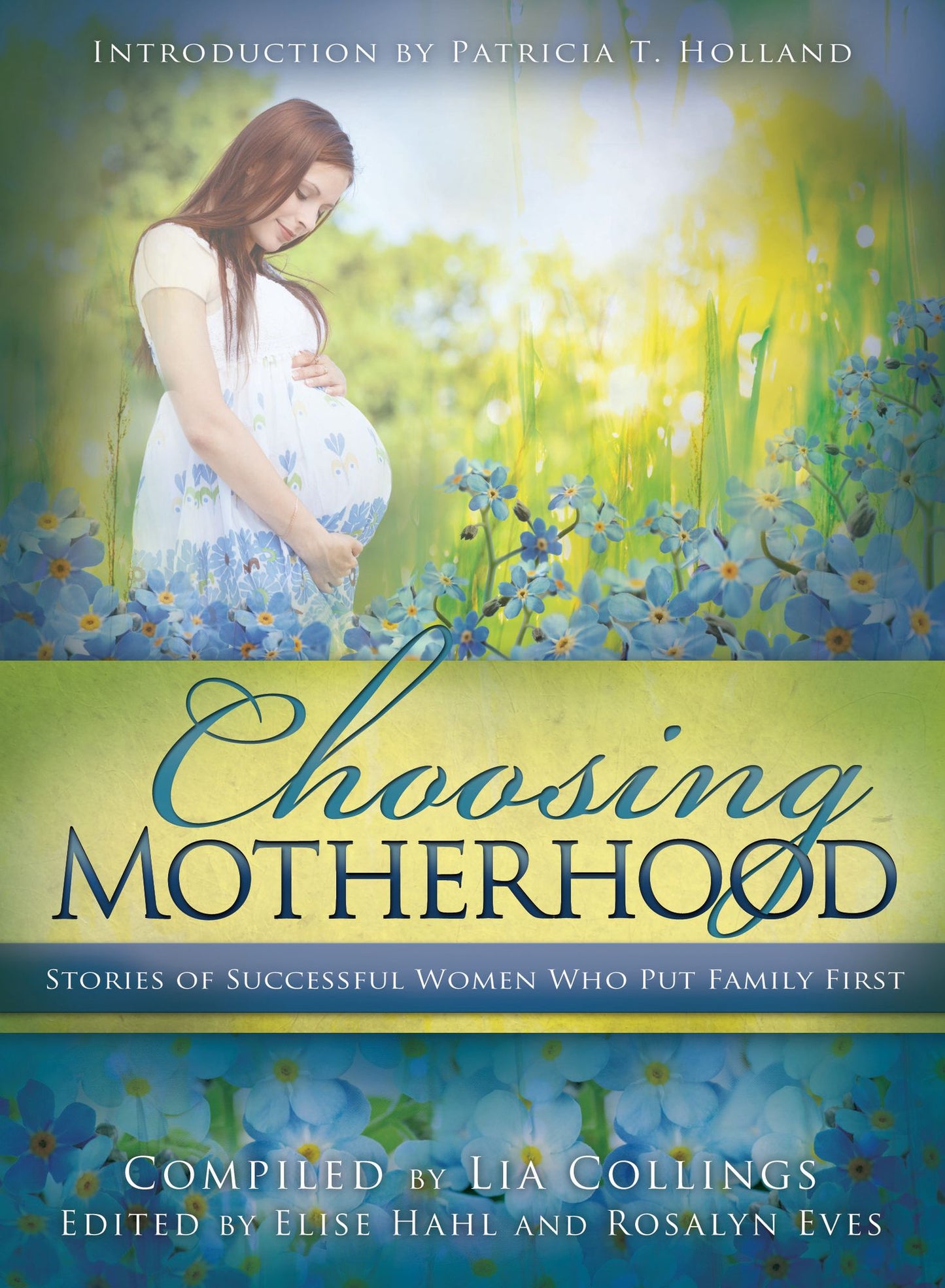 Choosing Motherhood: Stories of Successful Women Who Put Family First