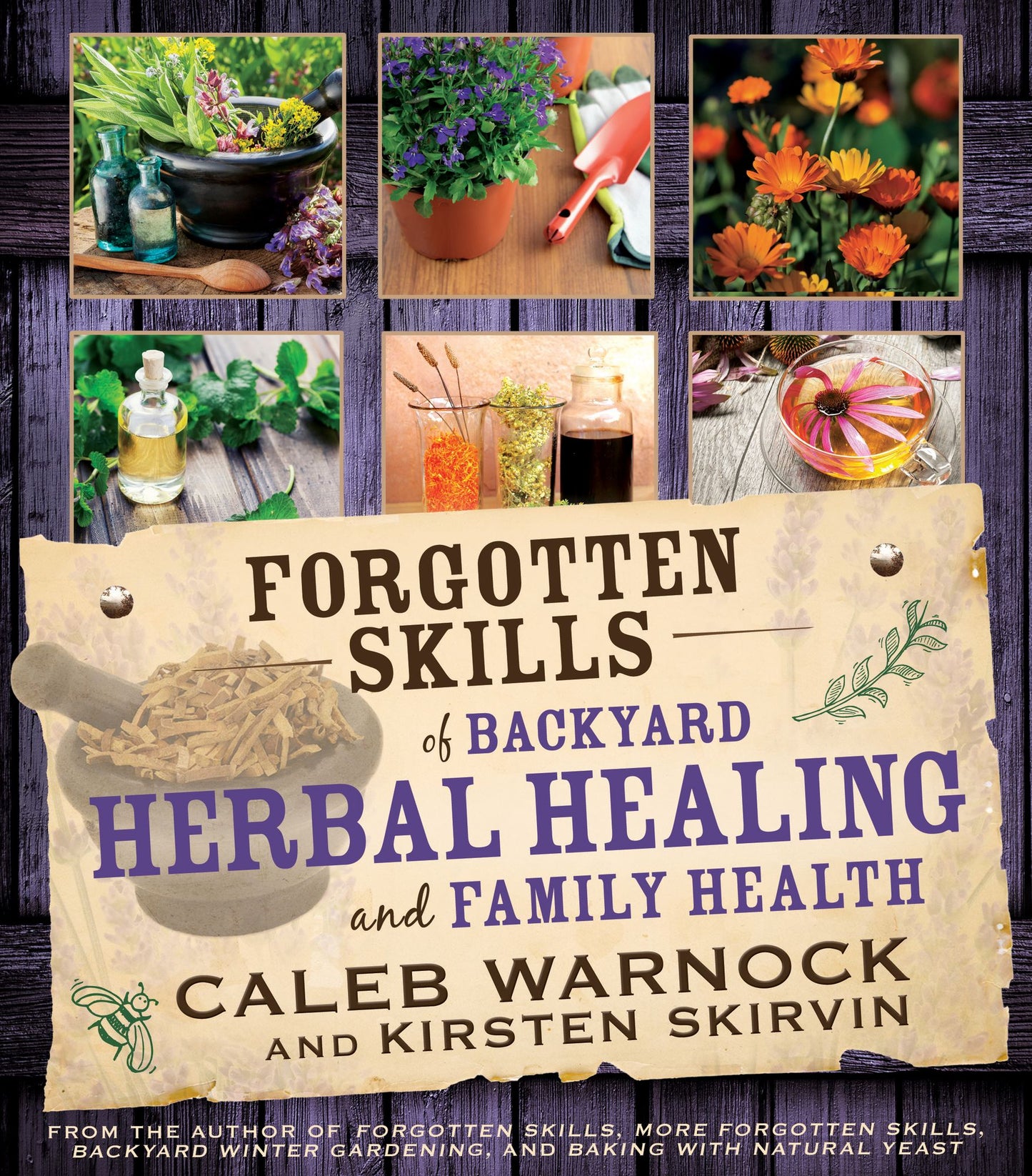 Forgotten Skills of Backyard Herbal Healing and Family Health