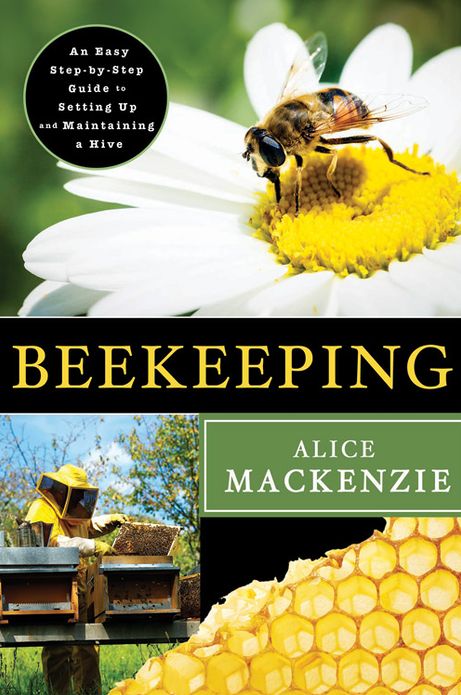 Beekeeping: A Step-by-Step Guide to Setting Up and Maintaining a Hive