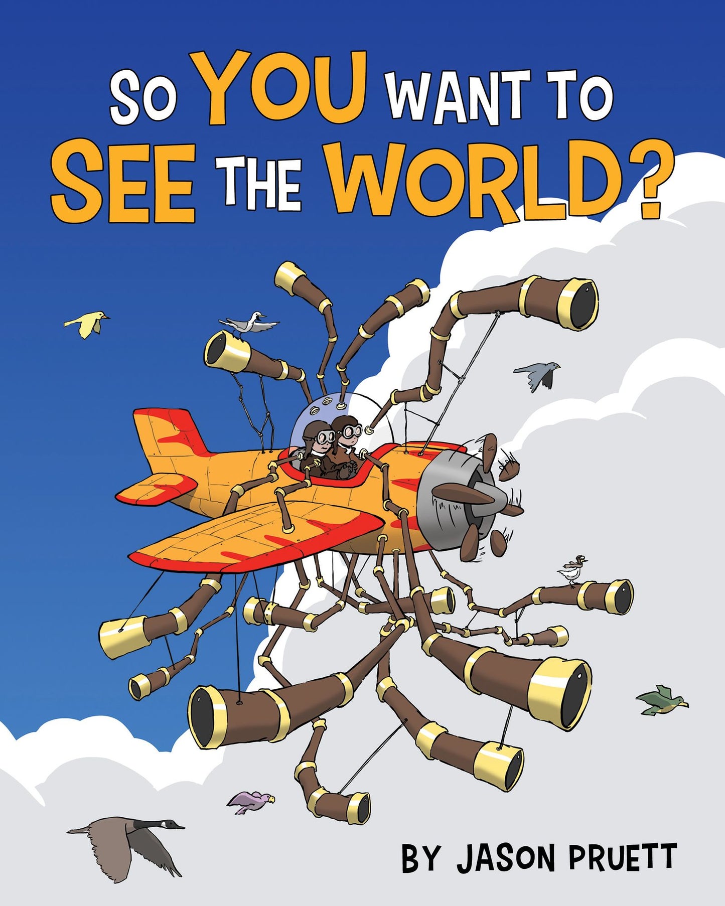 So You Want to See the World?