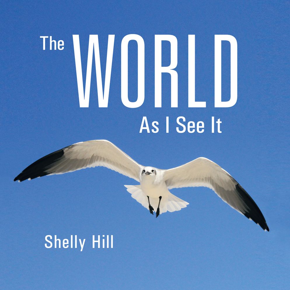The World As I See It (PagePerfect NOOK Book)