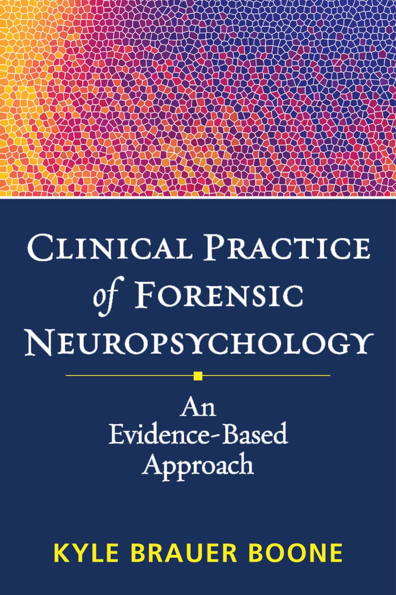 Clinical Practice of Forensic Neuropsychology: An Evidence-Based Approach