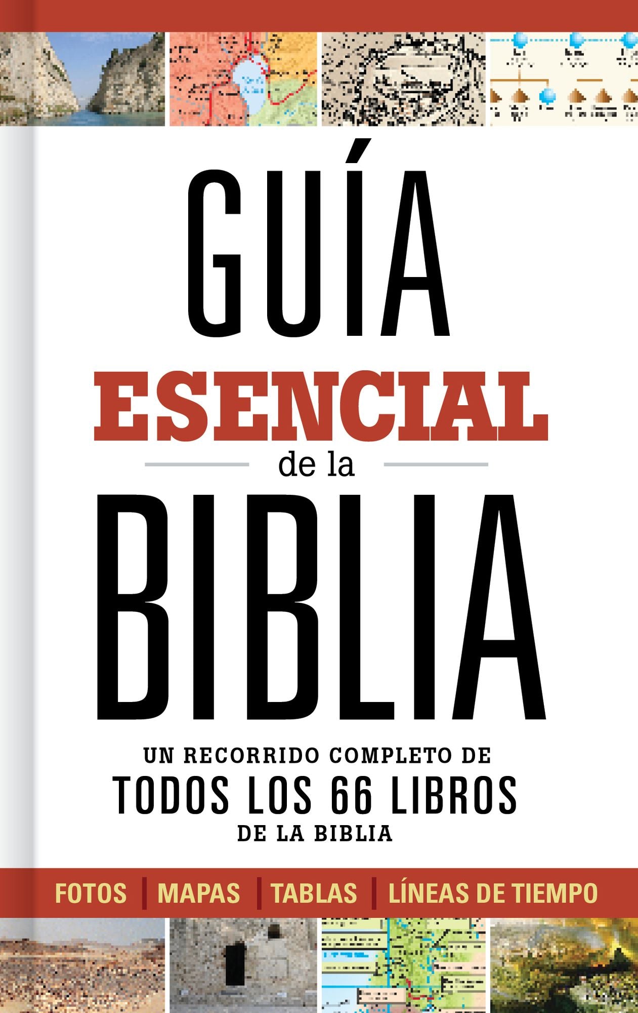 Guia esencial de la Biblia: Un recorrido completo de todos los 66 libros de la Biblia