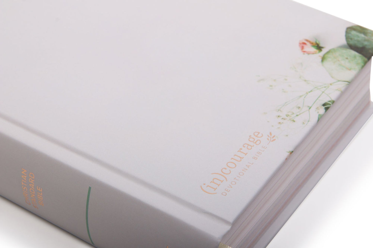 CSB (In)Courage Devotional Bible, Gray Hardcover