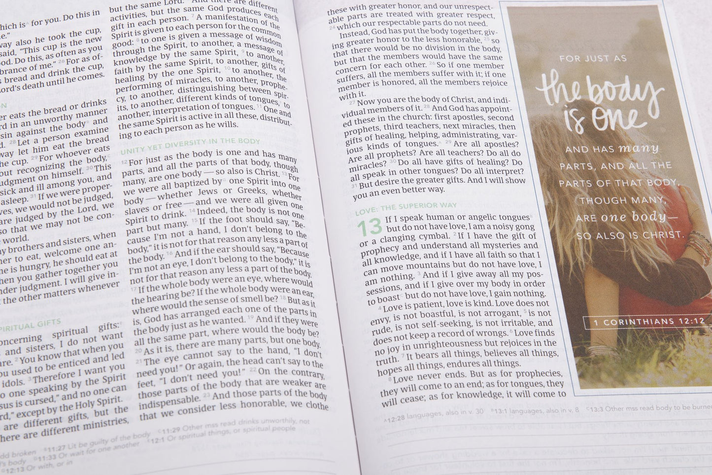 CSB (In)Courage Devotional Bible, Gray Hardcover