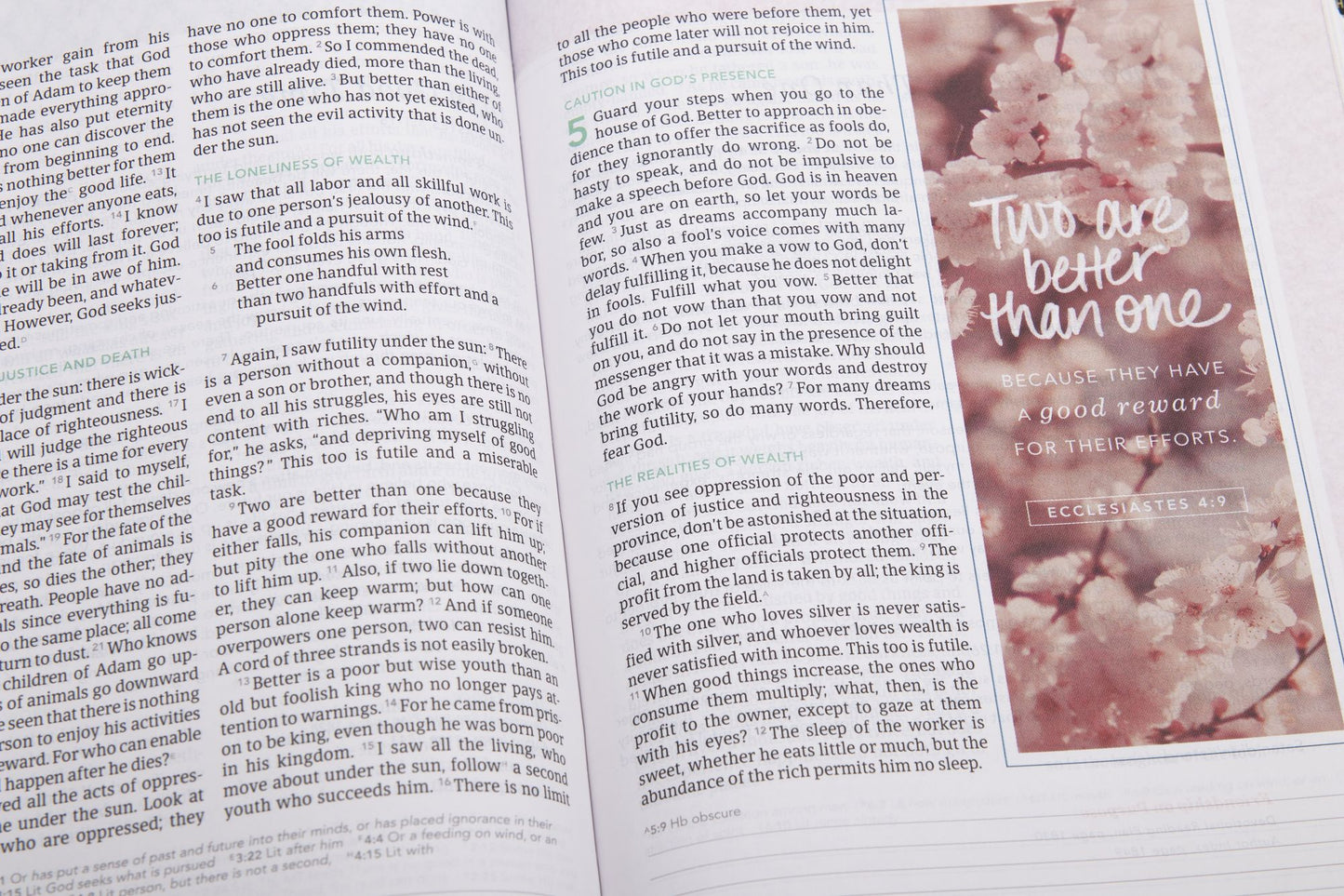 CSB (In)Courage Devotional Bible, Gray Hardcover