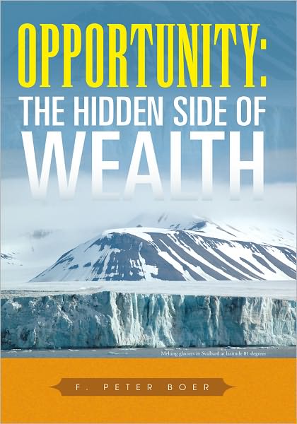 Opportunity: The Hidden Side of Wealth: The Hidden Side of Wealth
