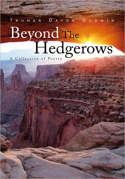 Beyond The Hedgerows: A Collection of Poetry