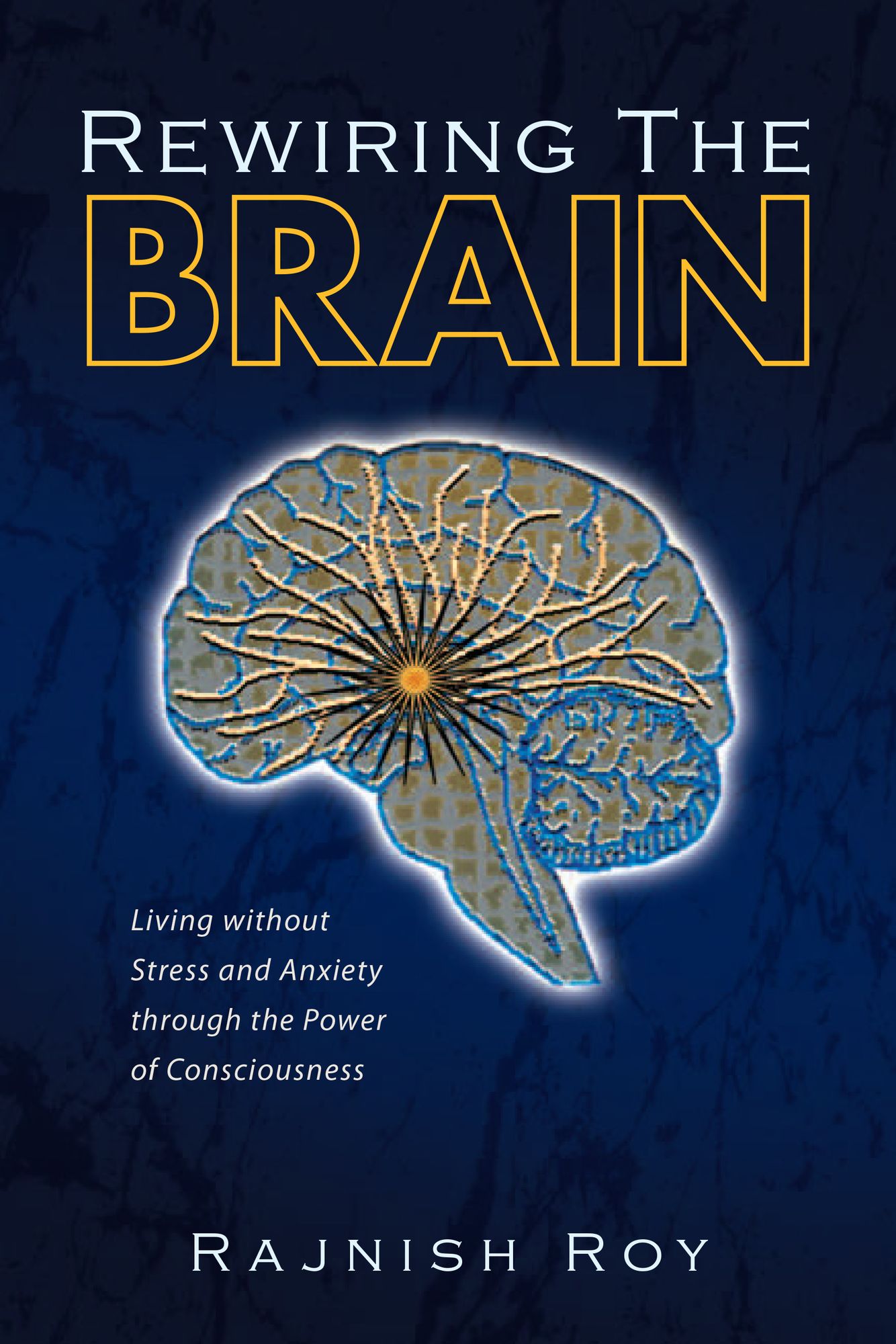 Rewiring the Brain: Living without Stress and Anxiety through the Power of Consciousness