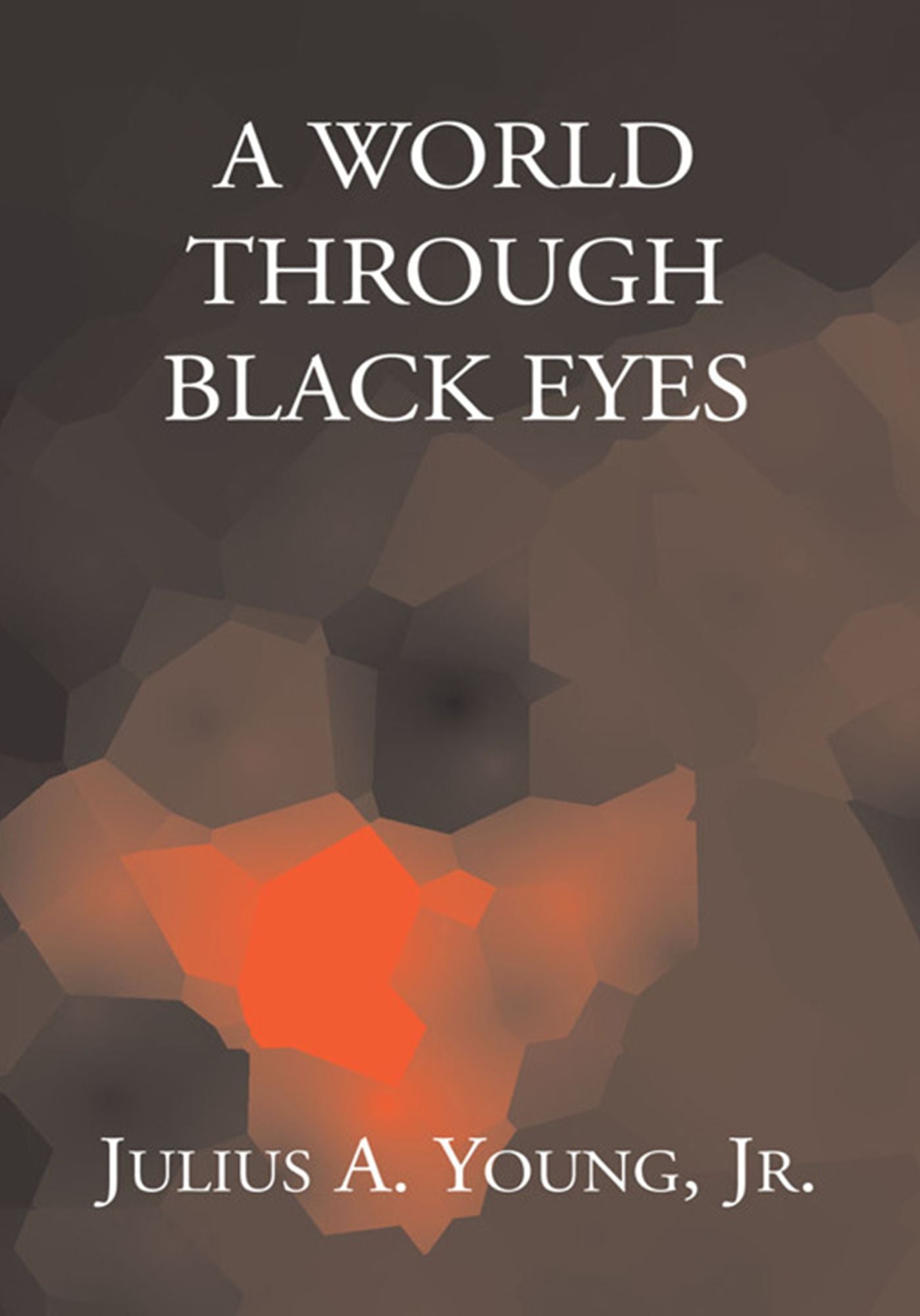 A WORLD THROUGH BLACK EYES