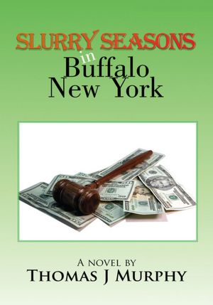 Slurry Seasons in Buffalo New York