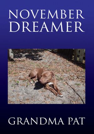 November Dreamer