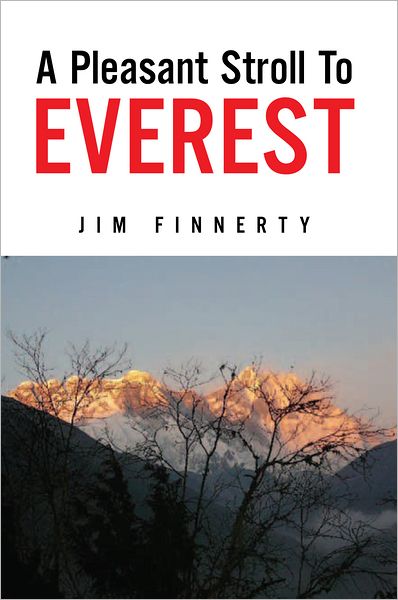 A Pleasant Stroll To Everest