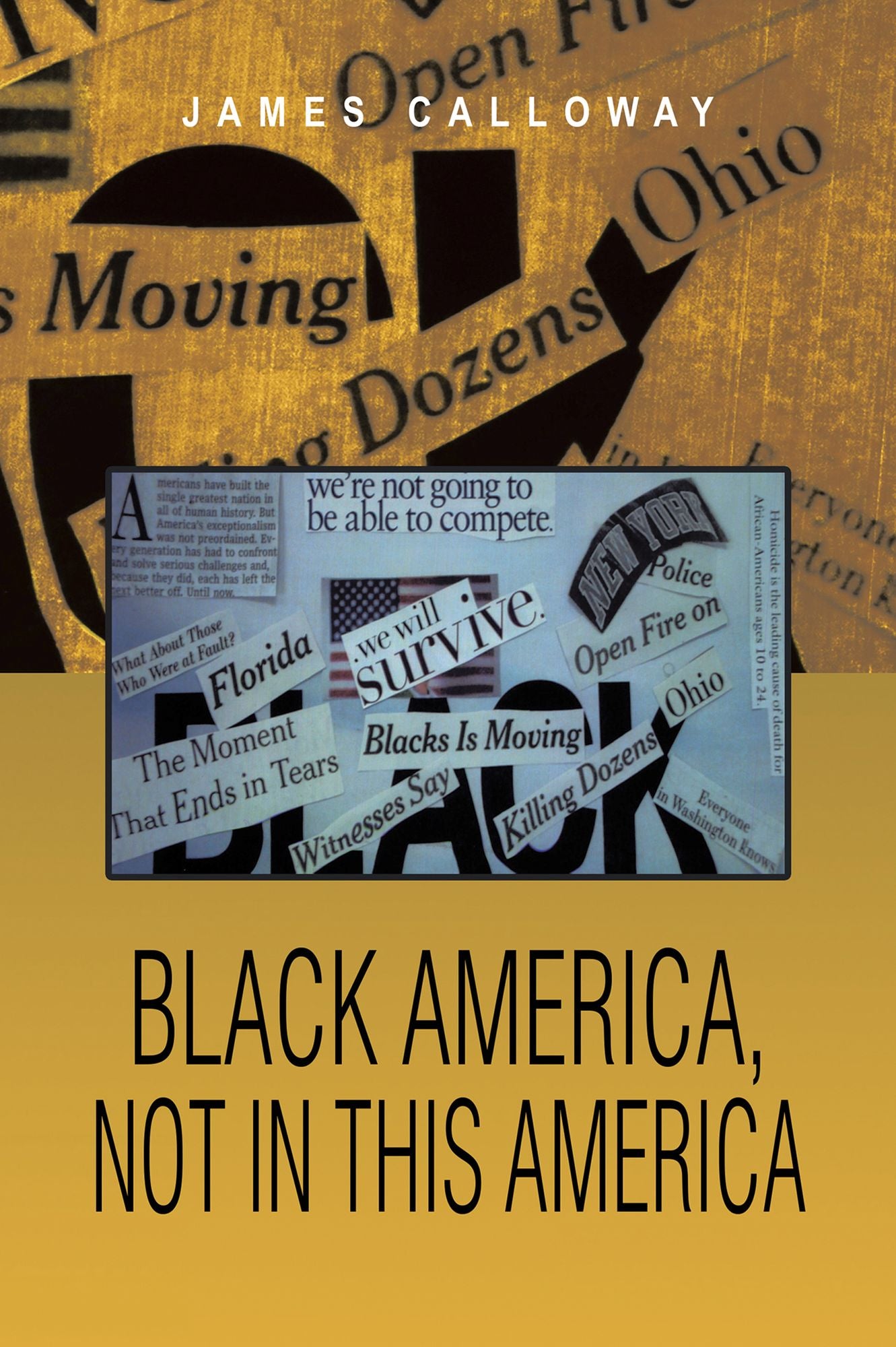Black America, Not in this America