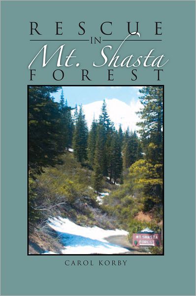Rescue in Mt. Shasta Forest