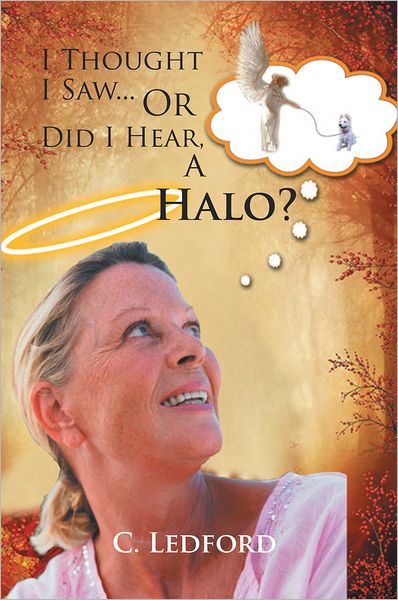 I Thought I Saw... Or Did I Hear, A Halo?