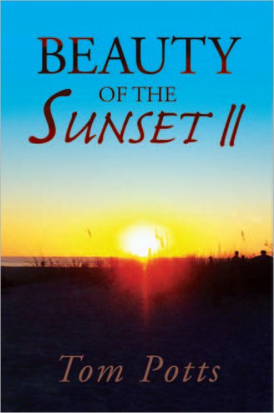 Beauty of the Sunset II