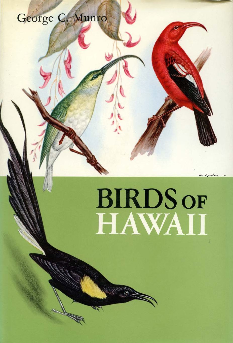 Birds of Hawaii