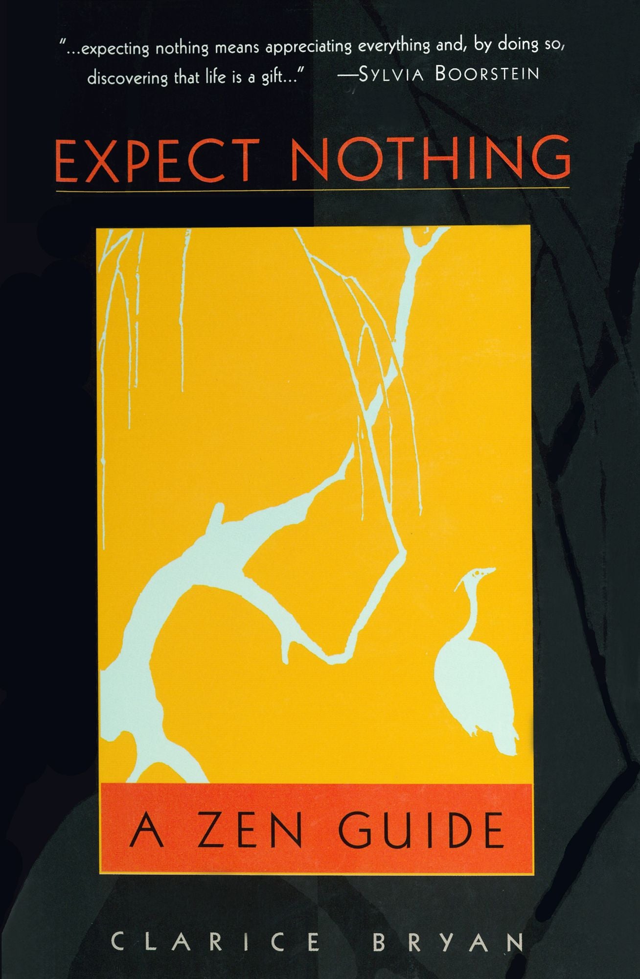 Expect Nothing: A Zen Guide