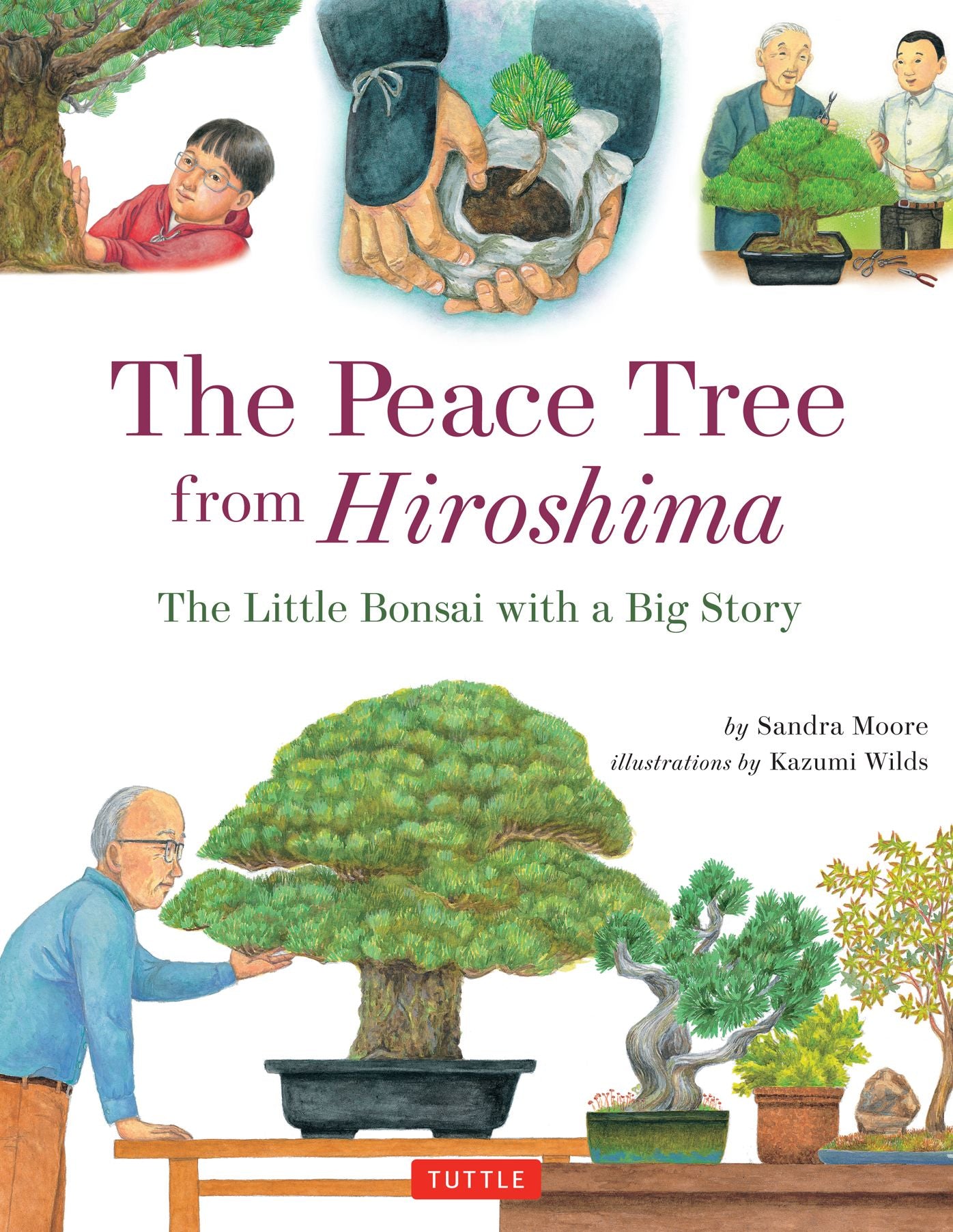Peace Tree from Hiroshima: A Little Bonsai with a Big Story