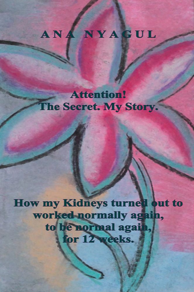 Attention! The Secret. My Story.: How my Kidneys turned out to worked normally again, to be normal again, for 12 weeks.