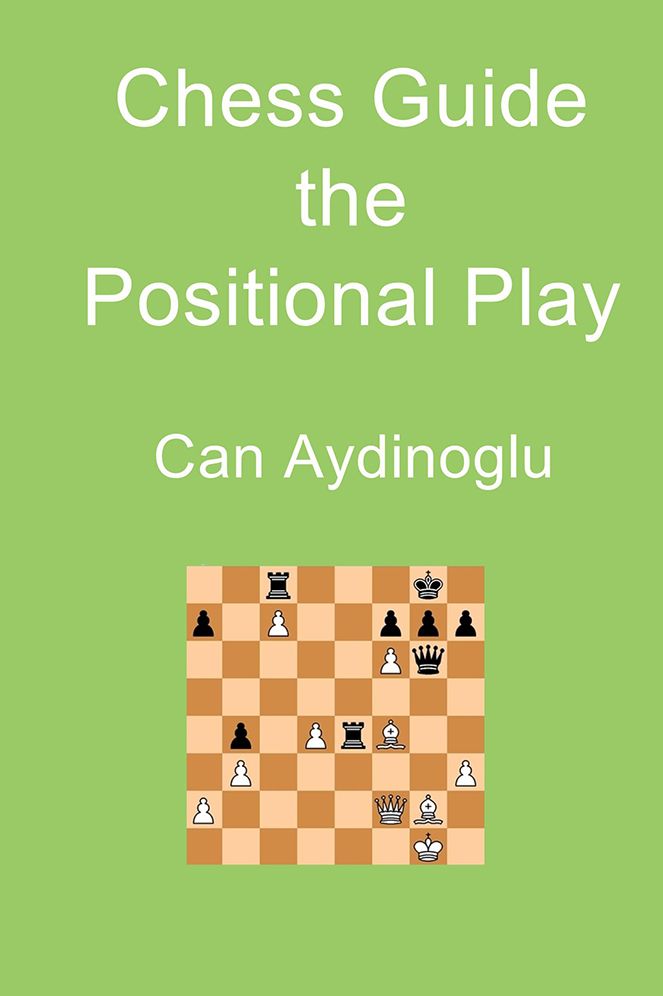 Chess Guide the Positional Play