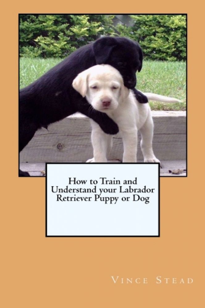 How to Train and Understand your Labrador Retriever Puppy or Dog: Labrador Retriever