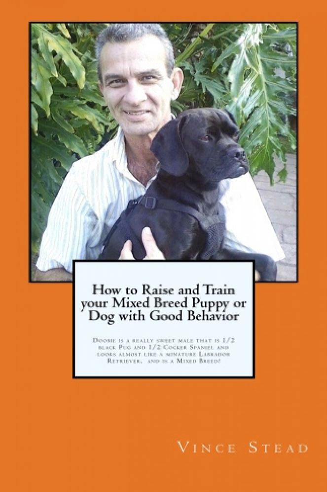 How to Raise and Train your Mixed Breed Puppy or Dog with Good Behavior