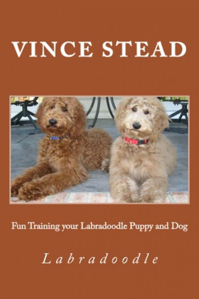 Fun Training your Labradoodle Puppy and Dog