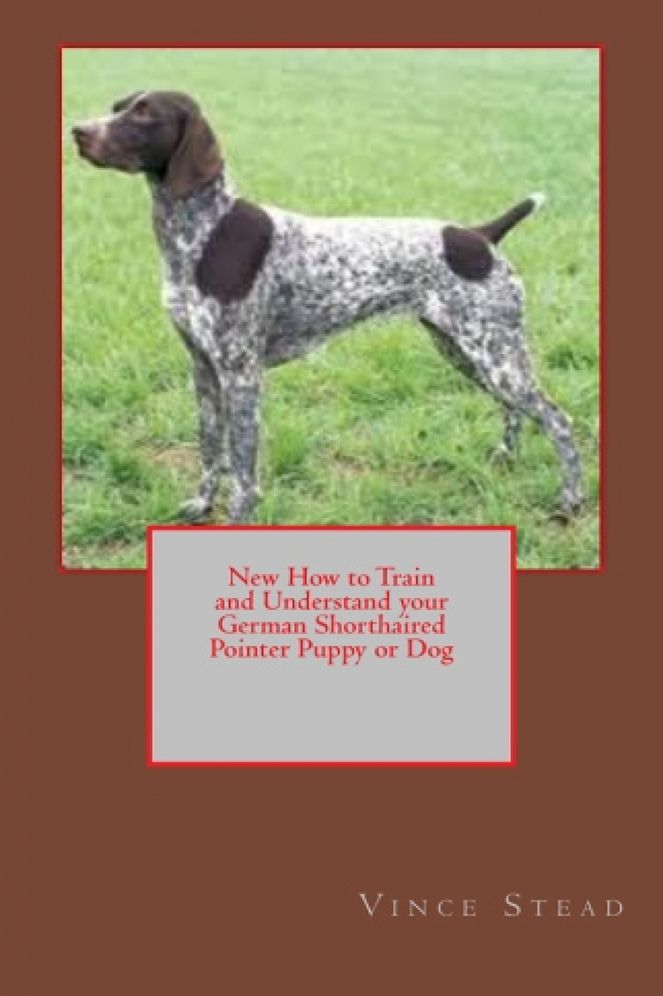 New How to Train and Understand your German Shorthaired Pointer Puppy or Dog