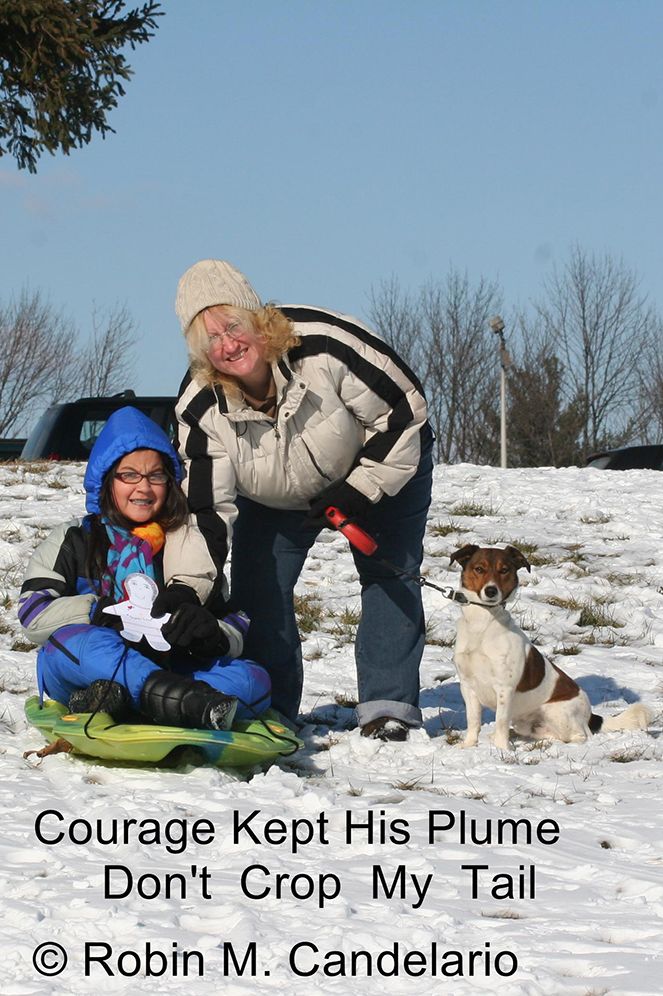 Courage Kept His Plume: Don't Crop My Tail