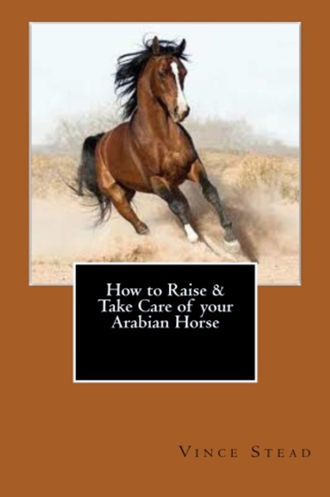 How to Raise & Take Care of your Arabian Horse