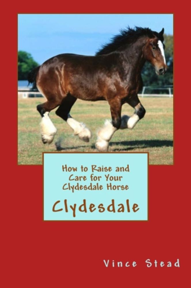 How to Raise and Care for Your Clydesdale Horse